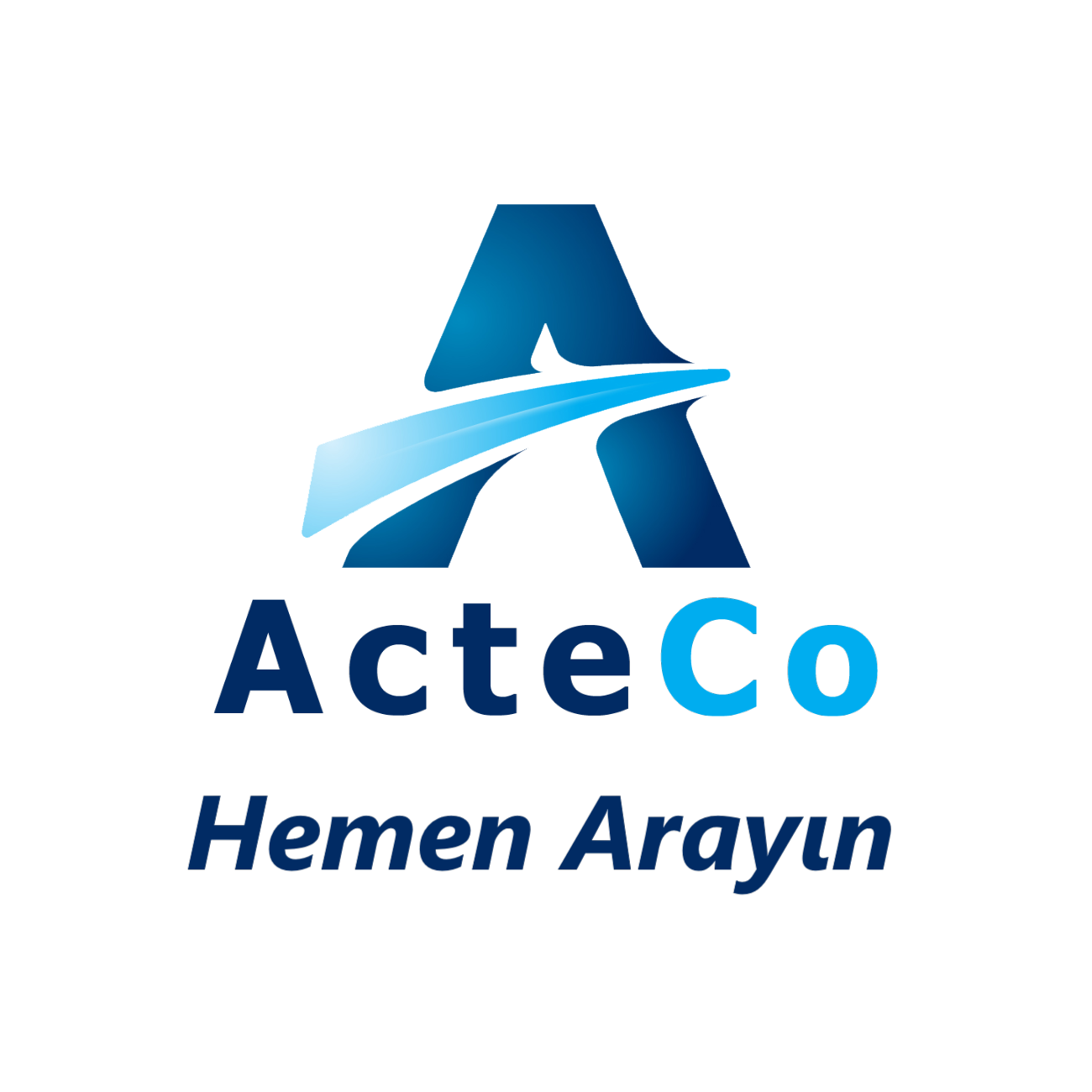 ActeCo Danışmanlık